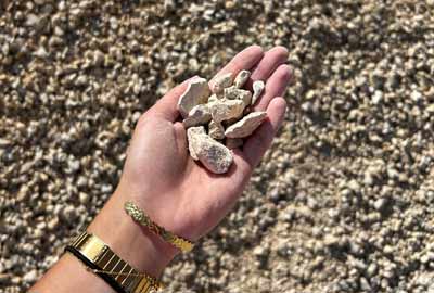 photo de Aurignac de calibre 0/20 dans une main