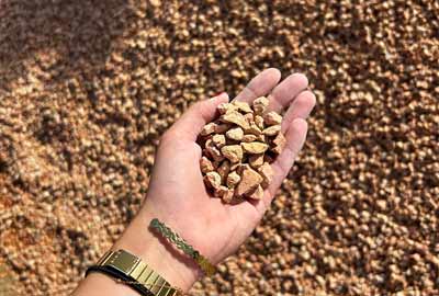 photo de gravier corail de calibre 6/10 concass6 dans une main