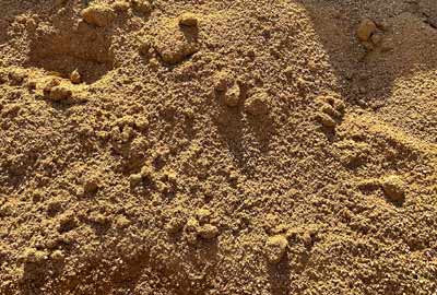 photo de sable Lexos, de calibre 0/6 roulé