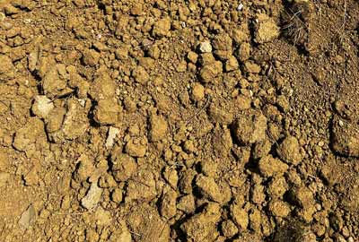 photo de terre végétale