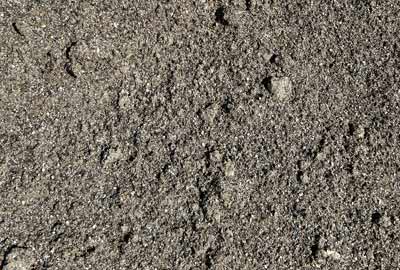 photo de sabline de calibre 0/4