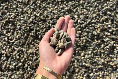 photo de gravier roulé de l'Adour-Neste de calibre 4/14 dans une main