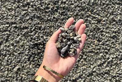 photo de Concassé de l'Adour-Neste de calibre 6/10 dans une main