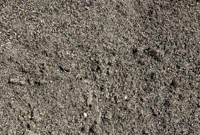 photographie de sabline